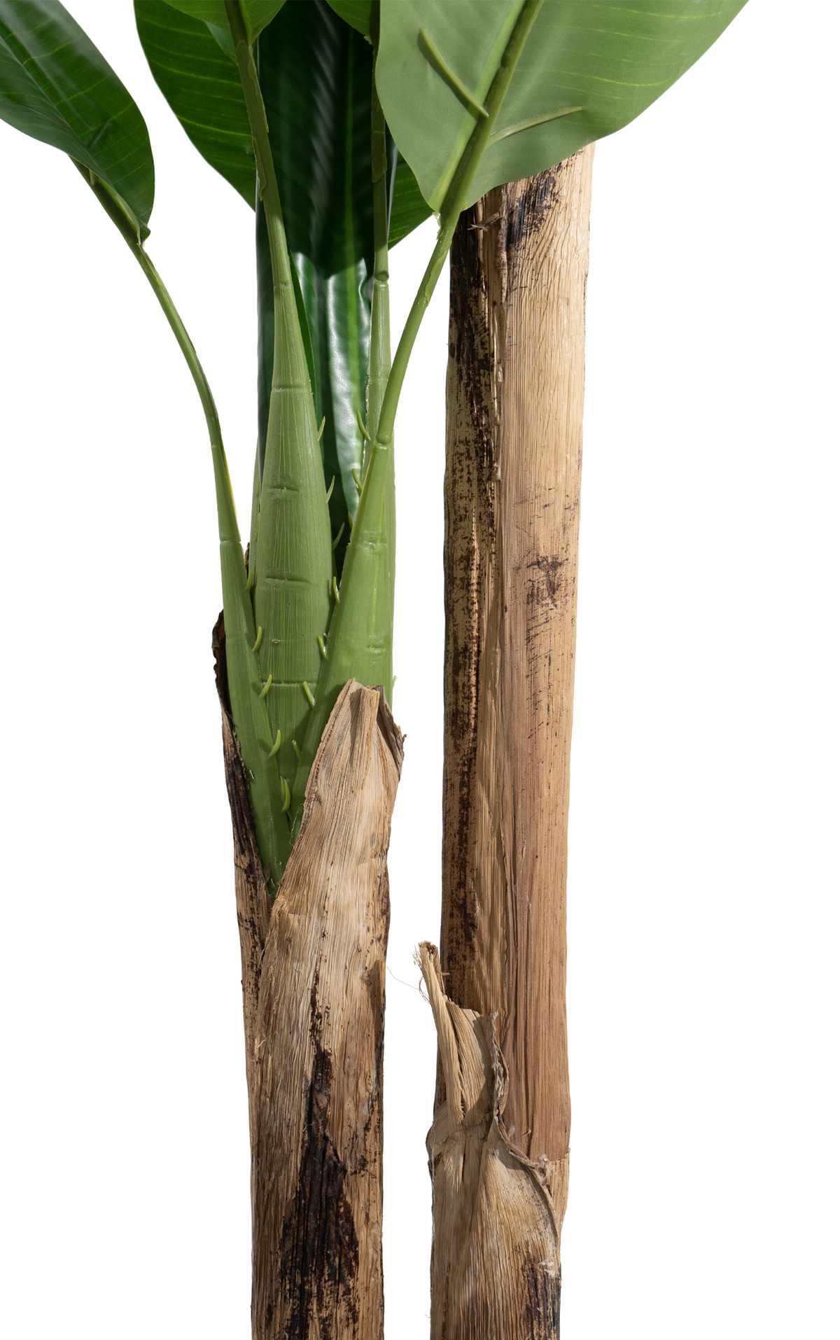 Marcolo 210cm artificial banana tree detail showing lifelike green stems and textured brown trunks.