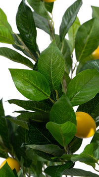 Marcolo 115cm Artificial Lemon Tree Leaves Close-up