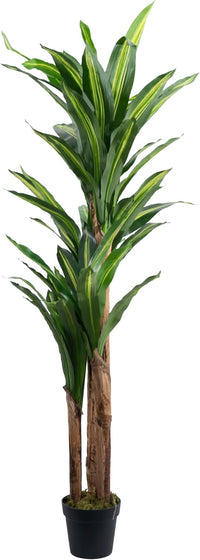 Artificial Dracaena tree size: 180 cm high
