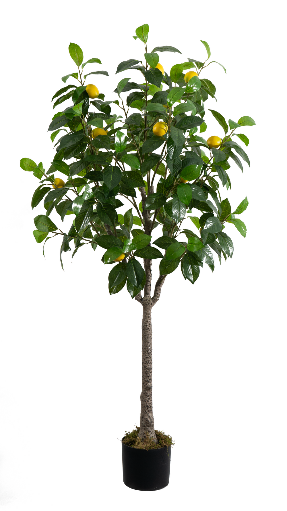 Artificial Lemon Tree 150cm Realistic Indoor Décor Tree