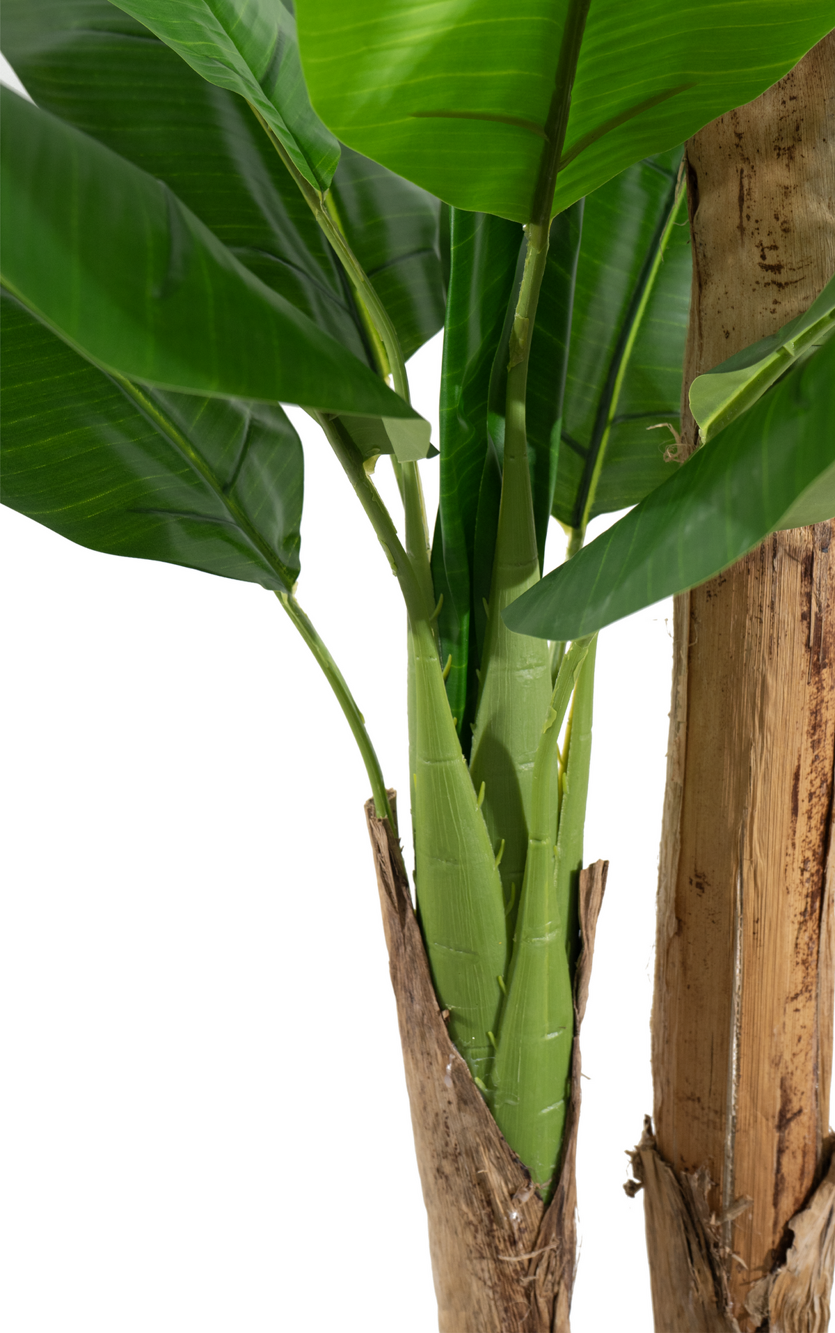 Marcolo artificial banana tree showing realistic green stems and textured trunk detail close-up.