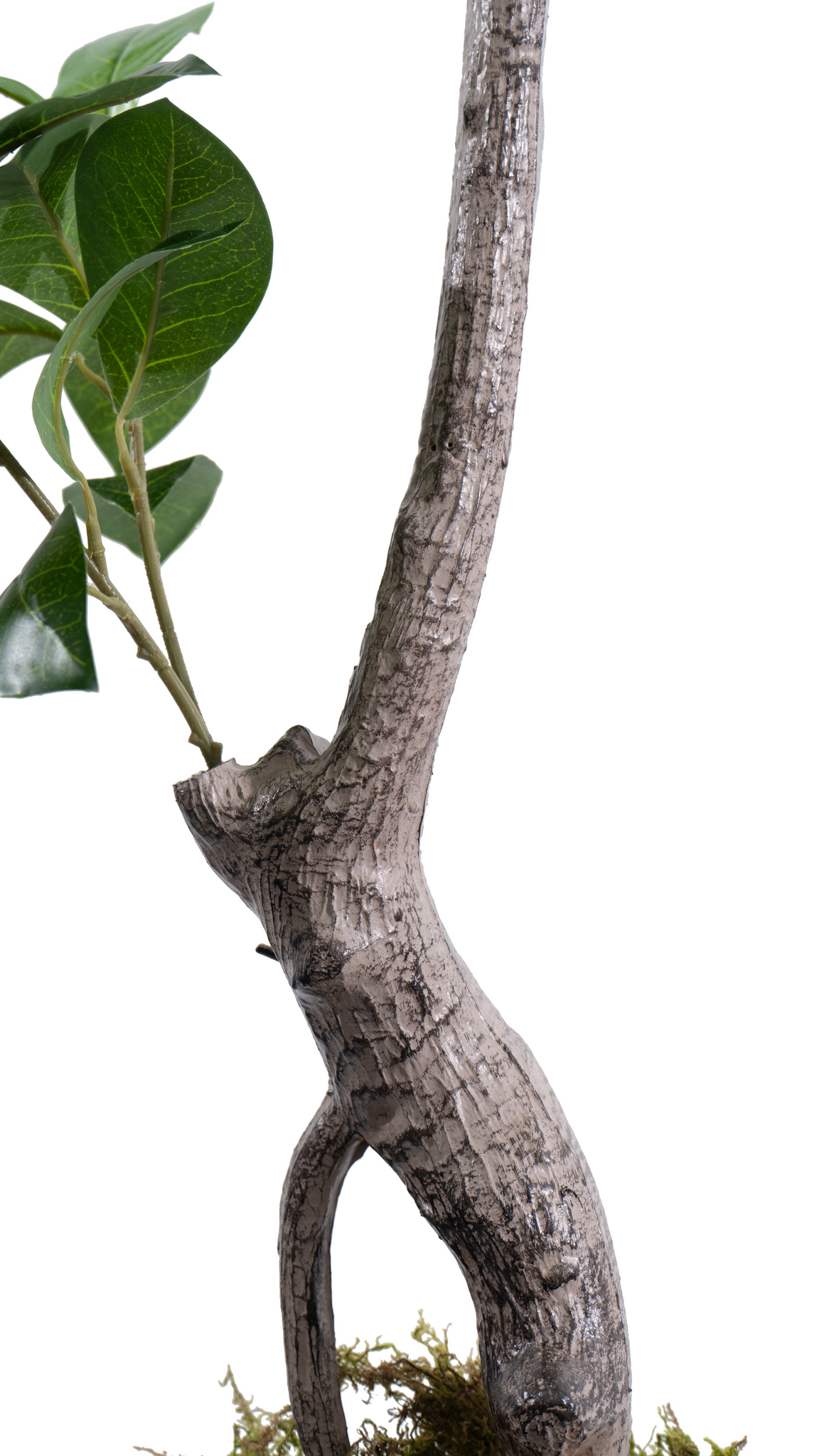 Marcolo Artificial Lemon Tree Trunk Detail, 100cm Tall