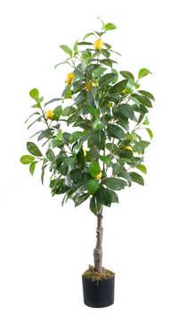 Marcolo 130cm Lifelike Artificial Lemon Tree in Black Pot