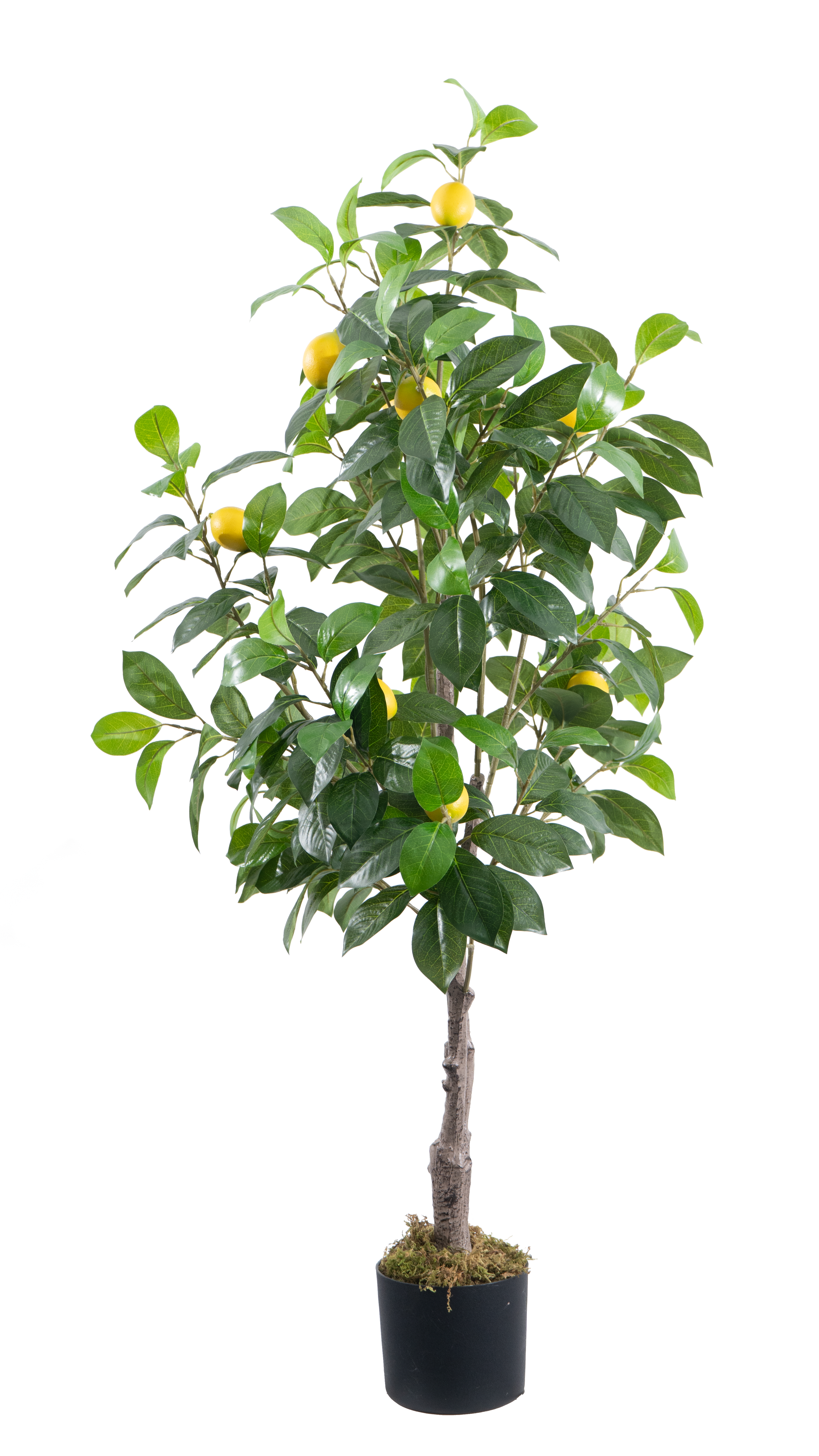 Marcolo 130cm Lifelike Artificial Lemon Tree in Black Pot