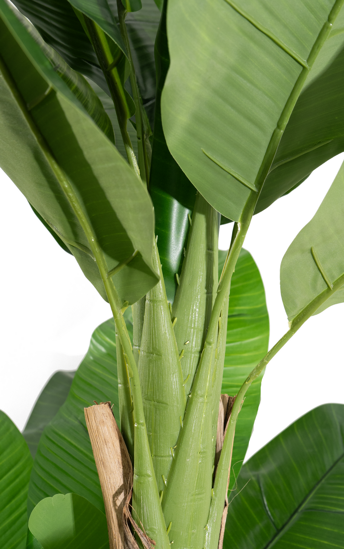 Marcolo 180cm artificial banana tree featuring wide, realistic green leaves and textured trunks.