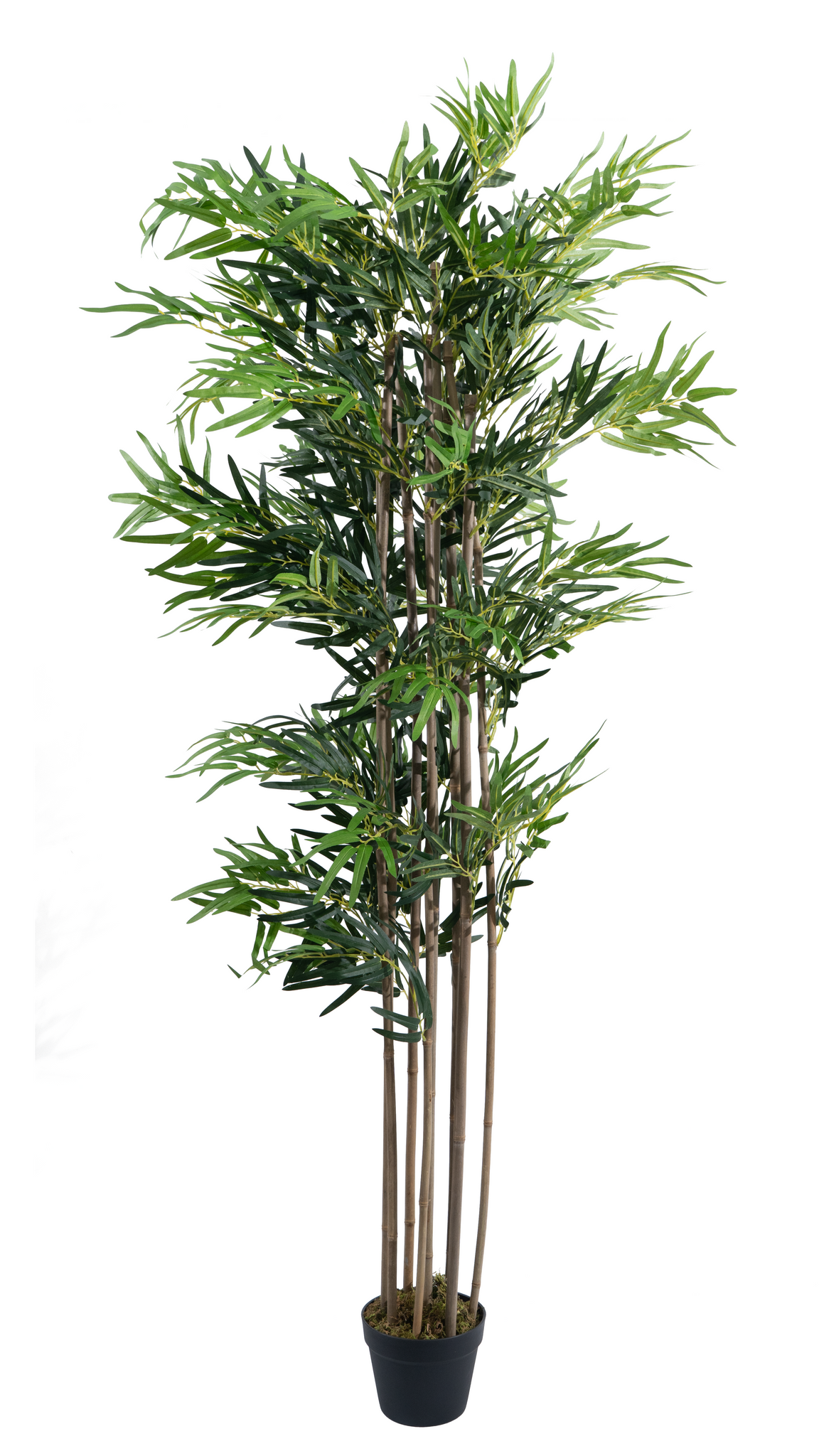 Marcolo artificial bamboo plant with pot, 180 cm, full view