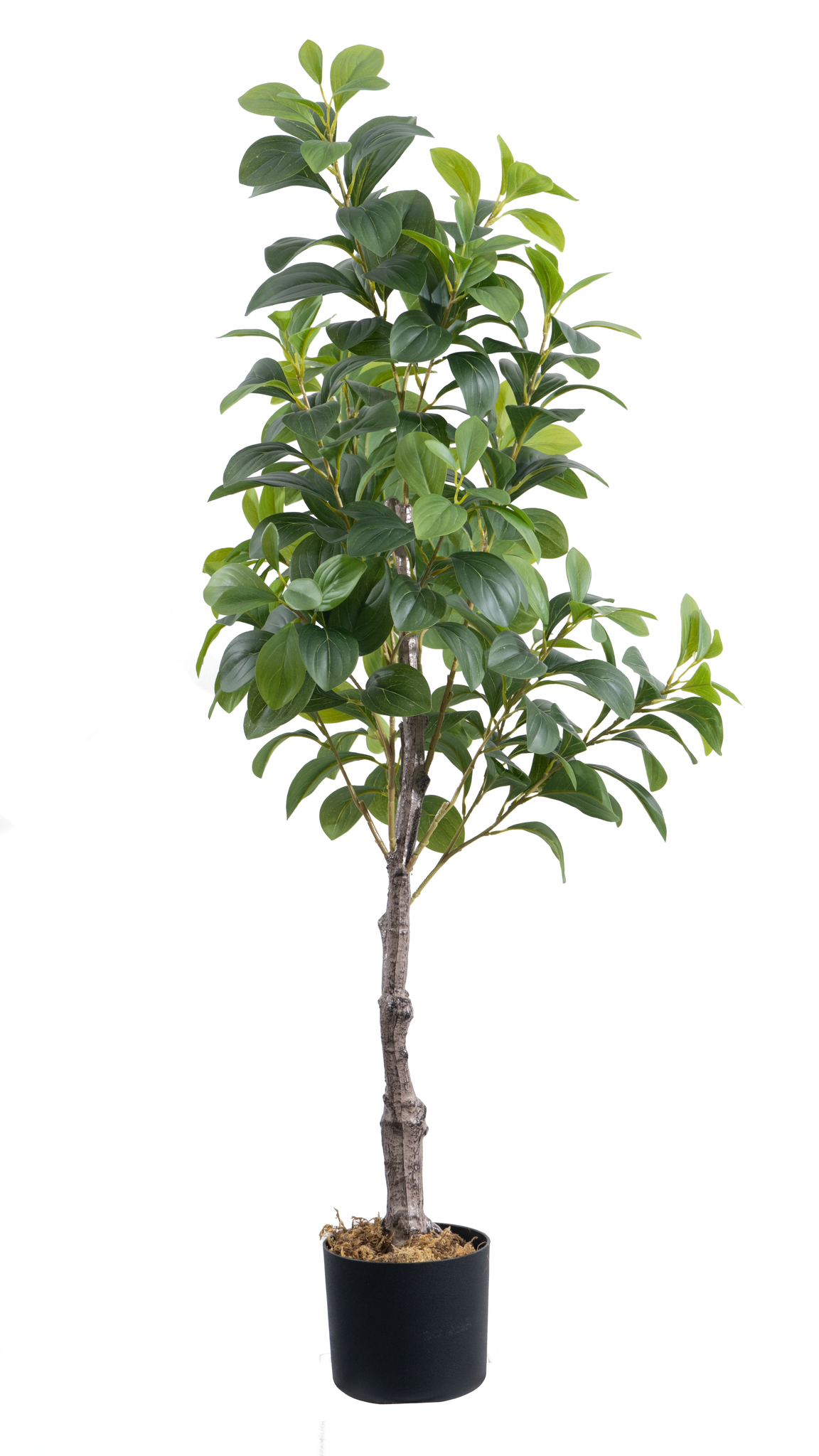 Marcolo artificial seven star leaf tree in a black pot