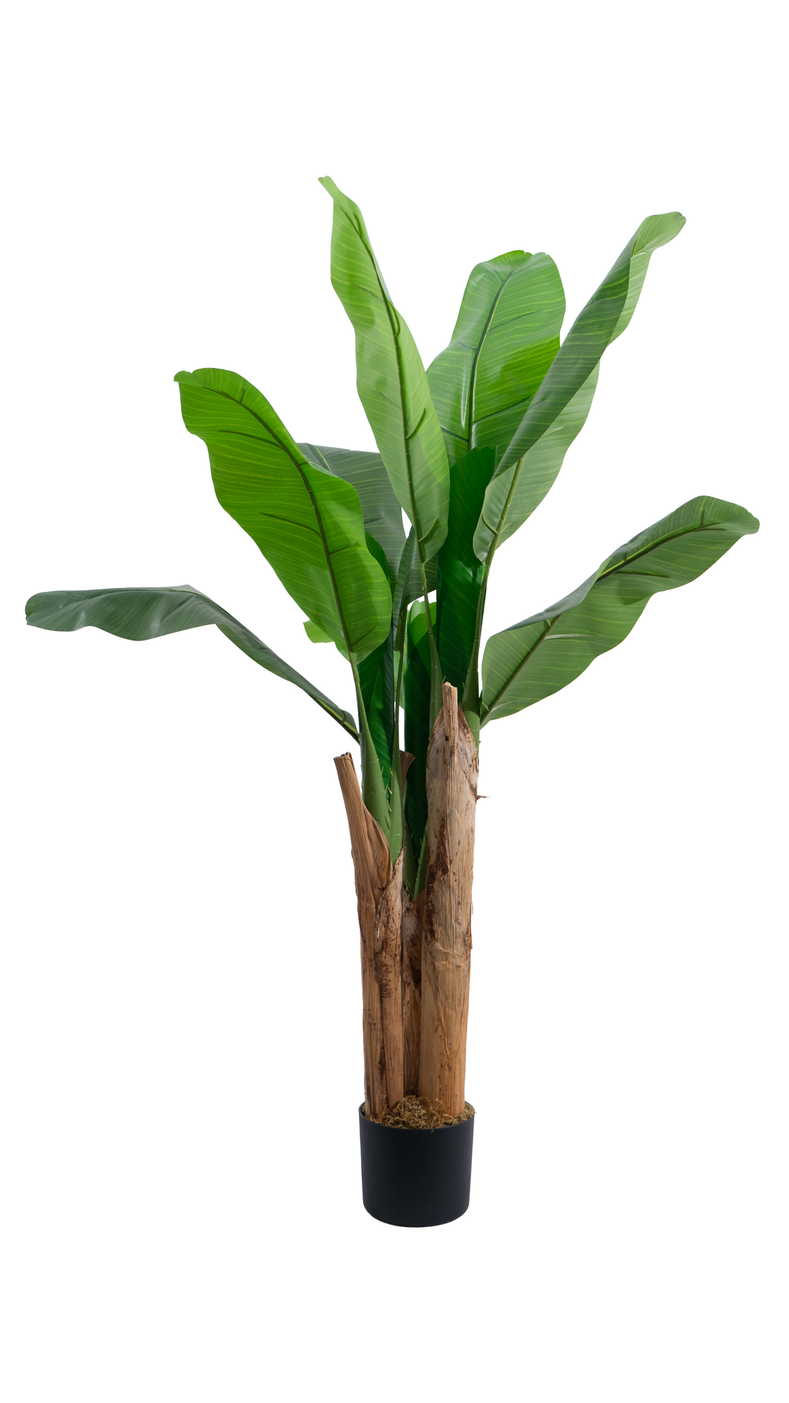 Marcolo 120cm artificial banana tree with large green leaves and a realistic textured trunk.