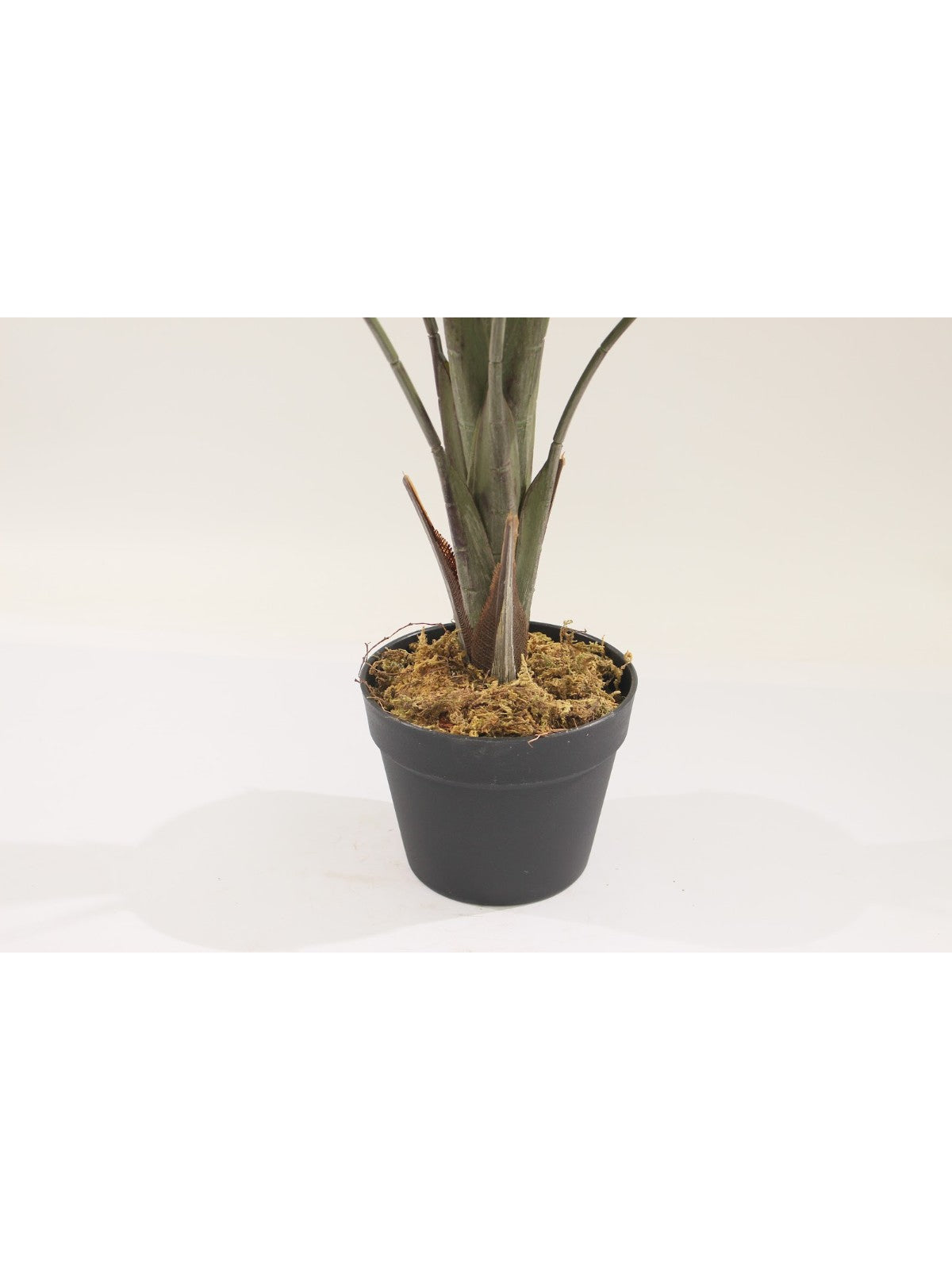 Marcolo artificial monstera plant pot and trunk close-up