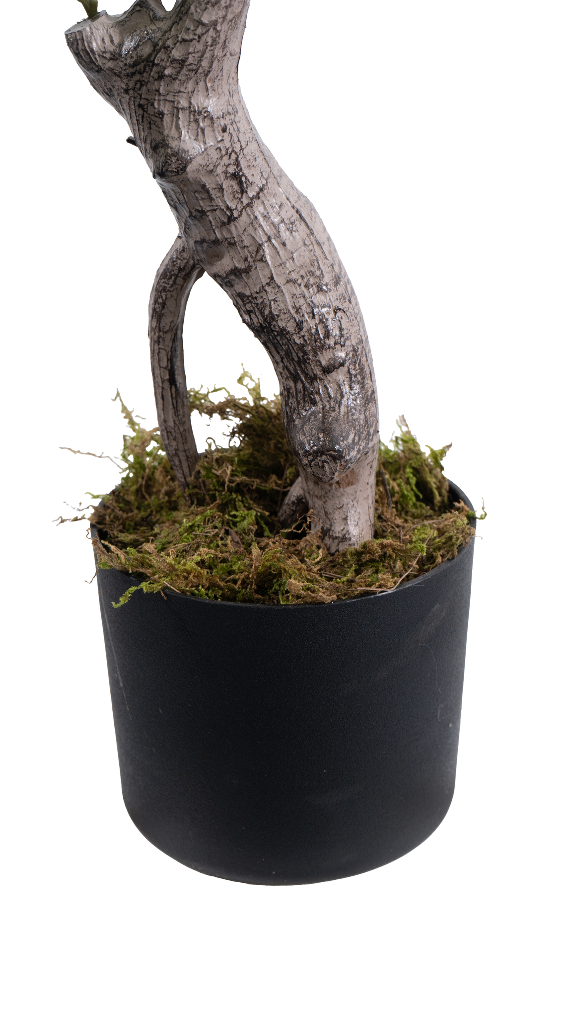 Marcolo Artificial Lemon Tree Base with Moss in Black Pot