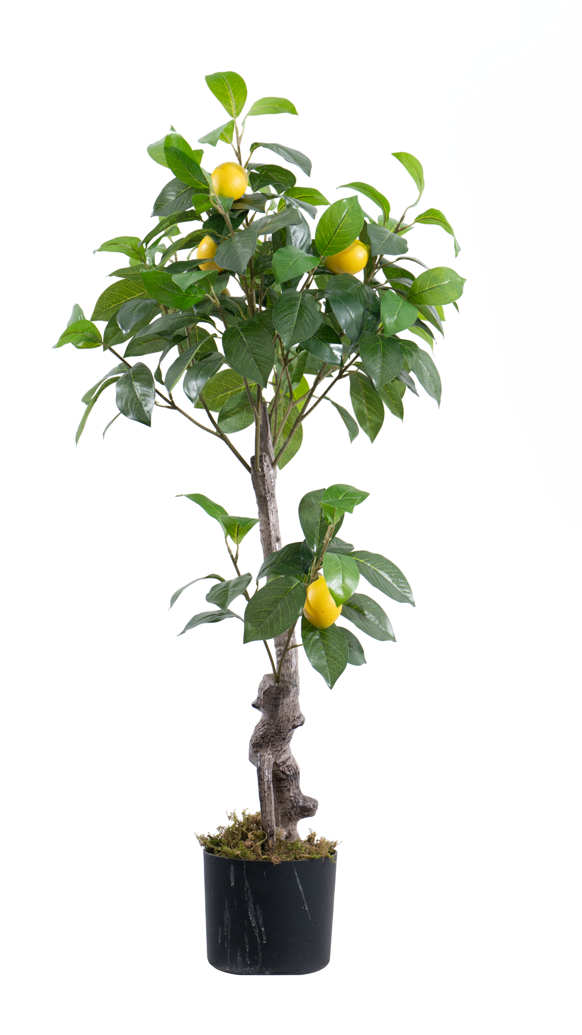 Marcolo Artificial Lemon Tree in Black Pot, 100cm Tall