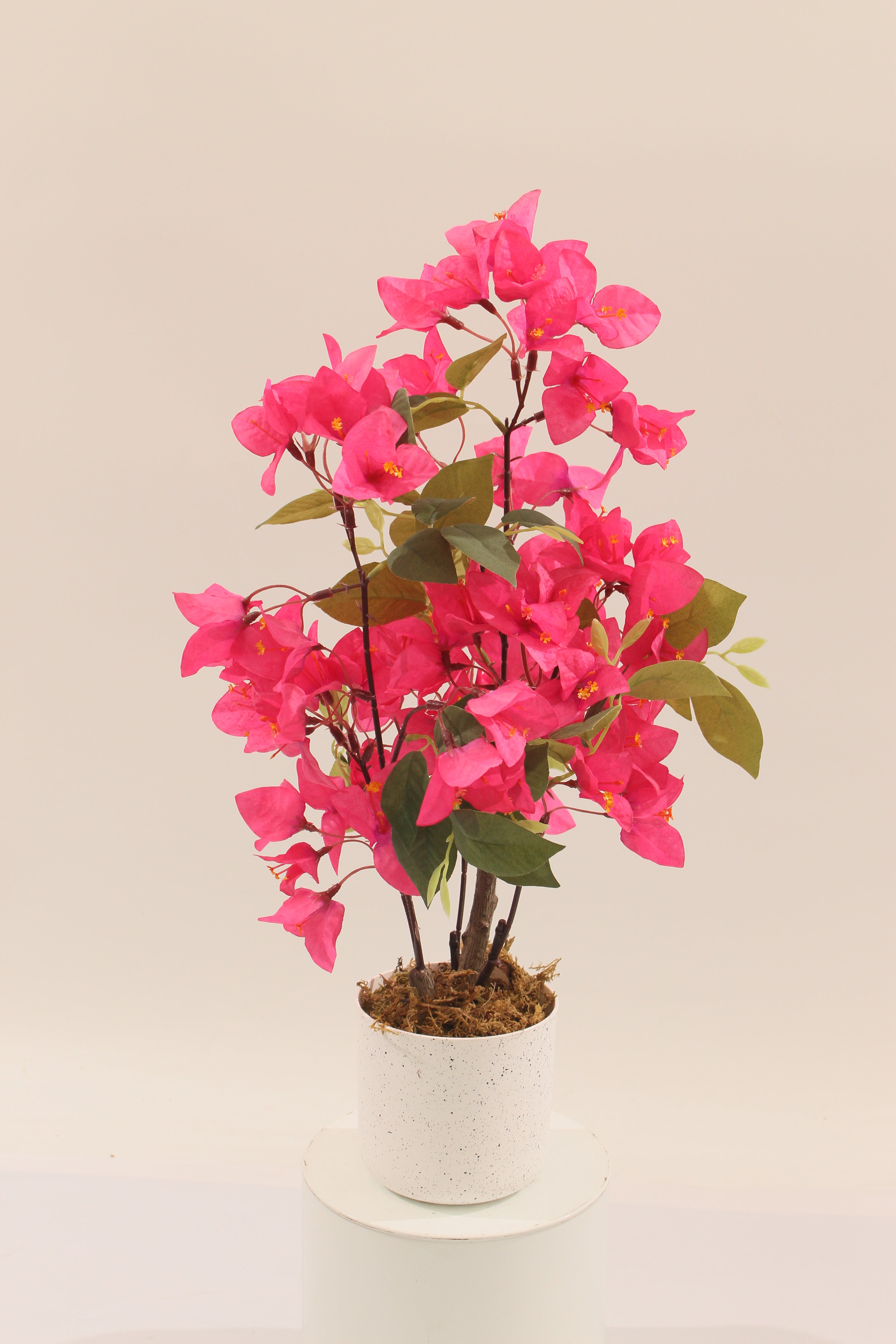 Artificial 50cm bougainvillea tree in a white pot by Marcolo.