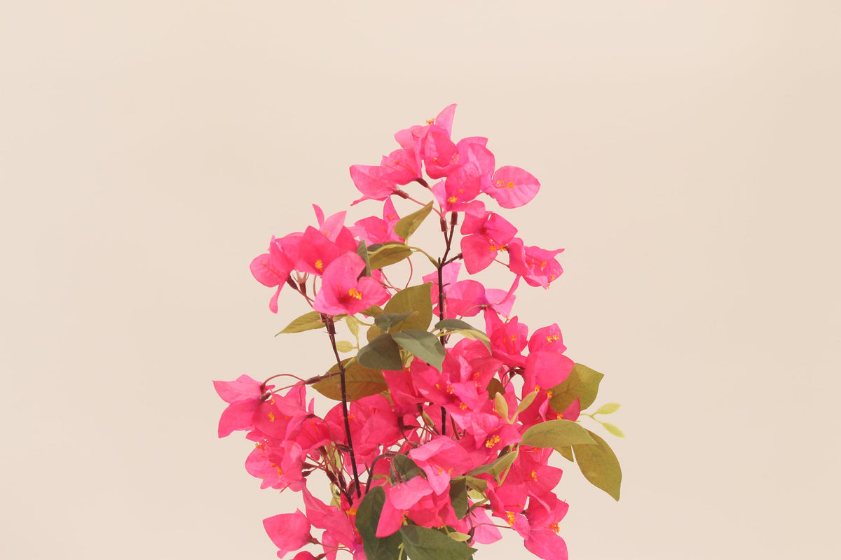 Pink artificial bougainvillea flowers by Marcolo.