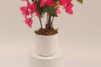 Close-up of artificial bougainvillea in a white Marcolo pot.