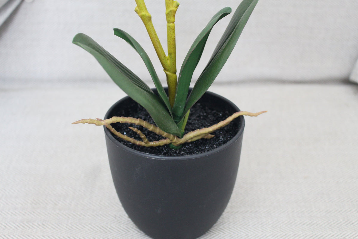 Leaves and black pot of the Marcolo 40 cm artificial orchid