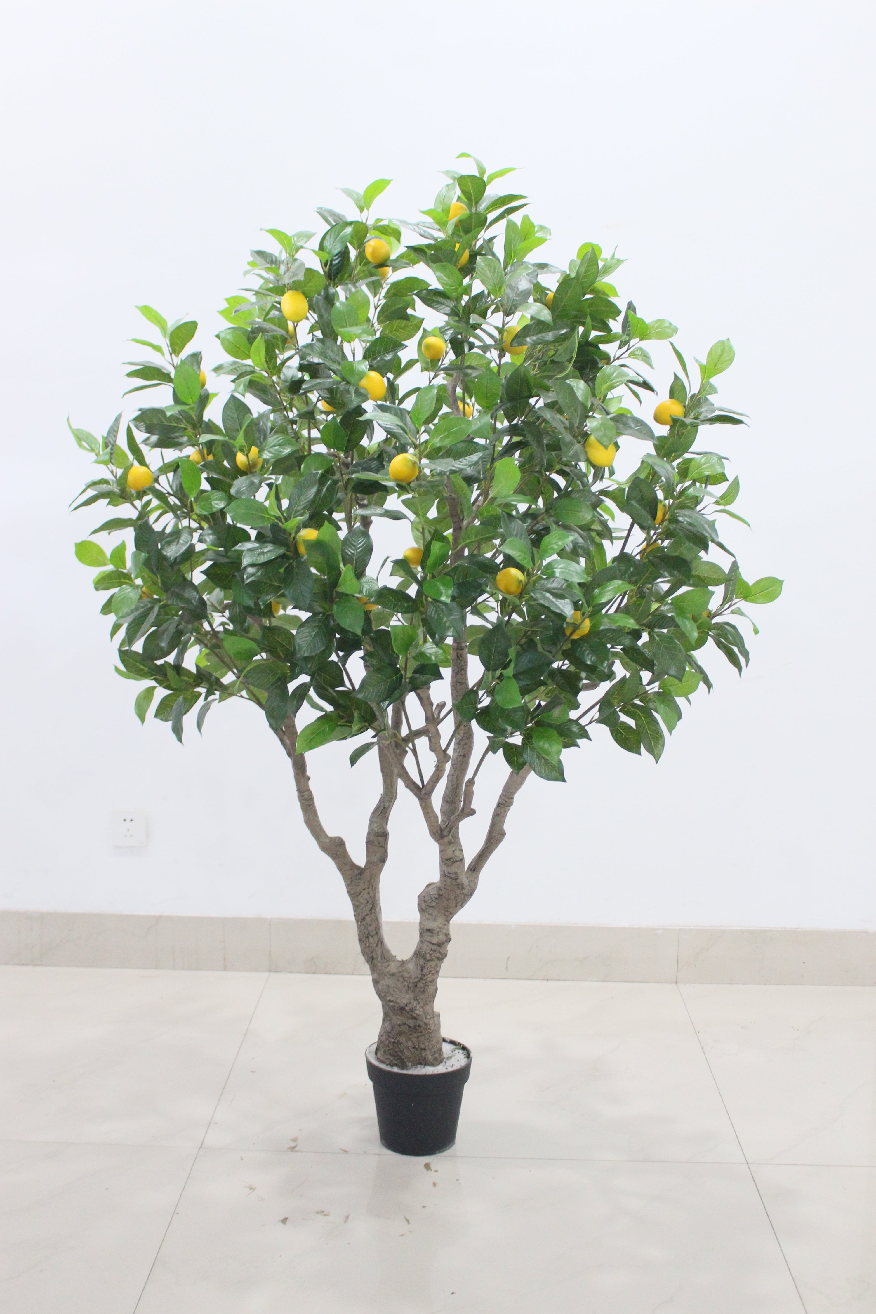 Marcolo 170cm Artificial Lemon Tree in Studio Setting