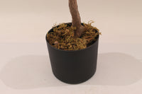 Close-up of a black Marcolo pot with artificial tree moss.