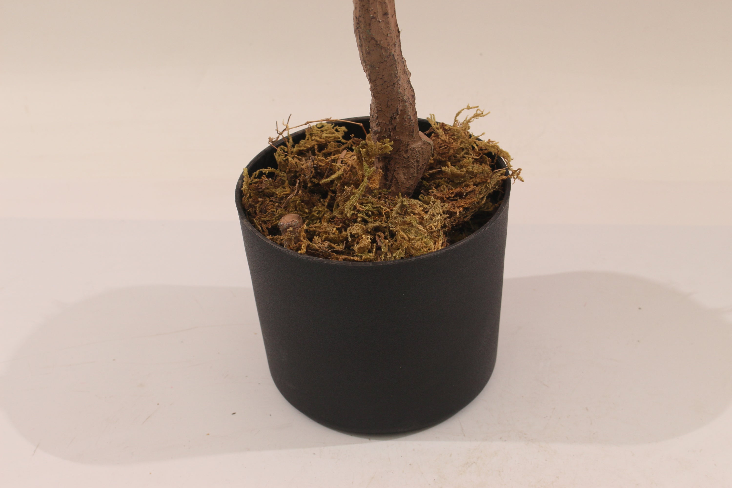 Close-up of a black Marcolo pot with artificial tree moss.