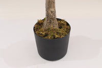 Close-up of a black Marcolo pot with artificial tree moss.