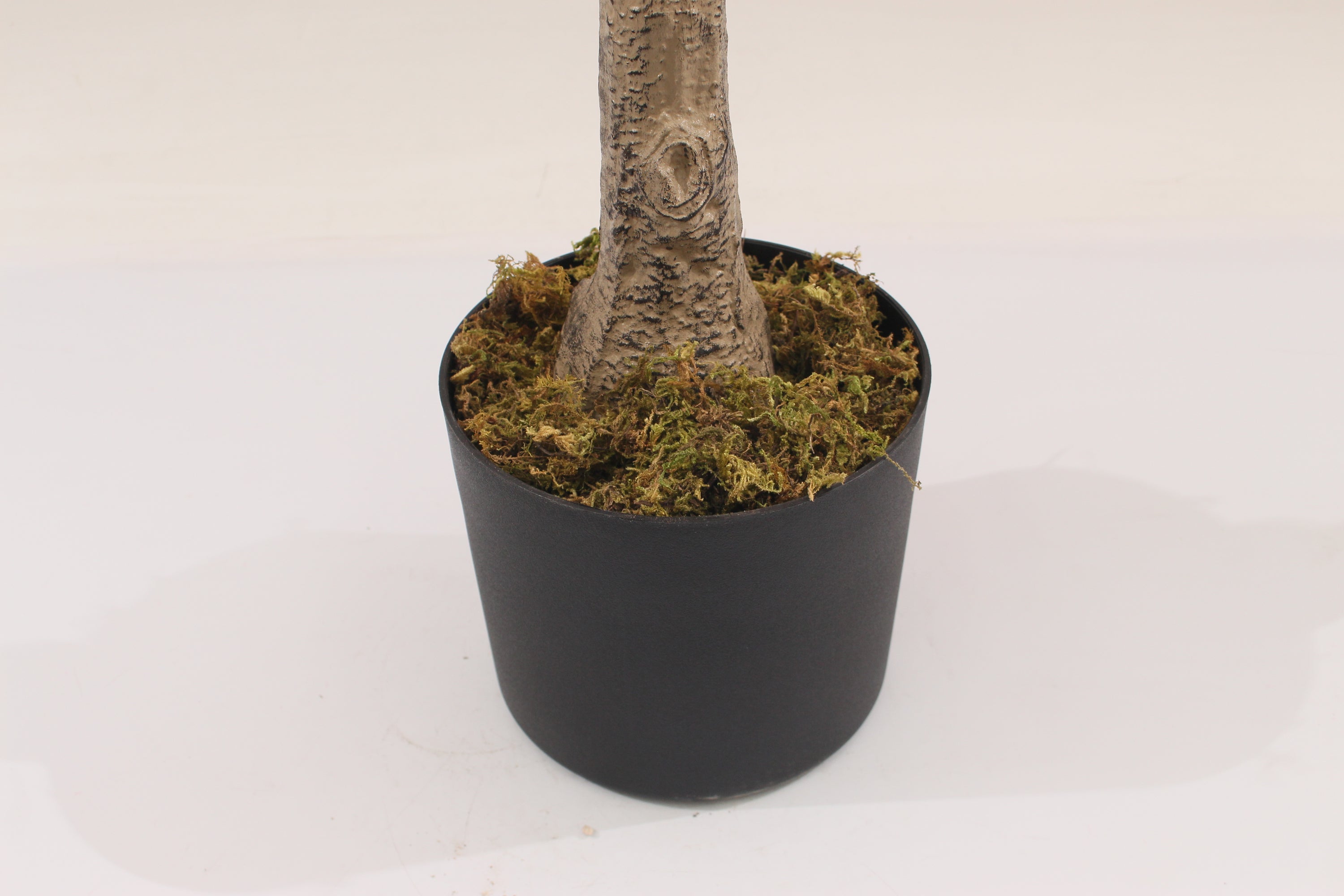 Close-up of a black Marcolo pot with artificial tree moss.