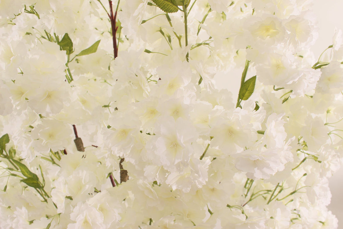Close-up of the white blossoms on the Marcolo 200 cm artificial cherry blossom tree