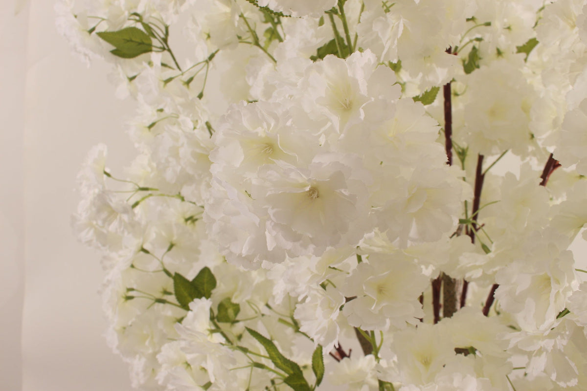 Dense white blossom clusters on the Marcolo 200 cm artificial cherry blossom tree