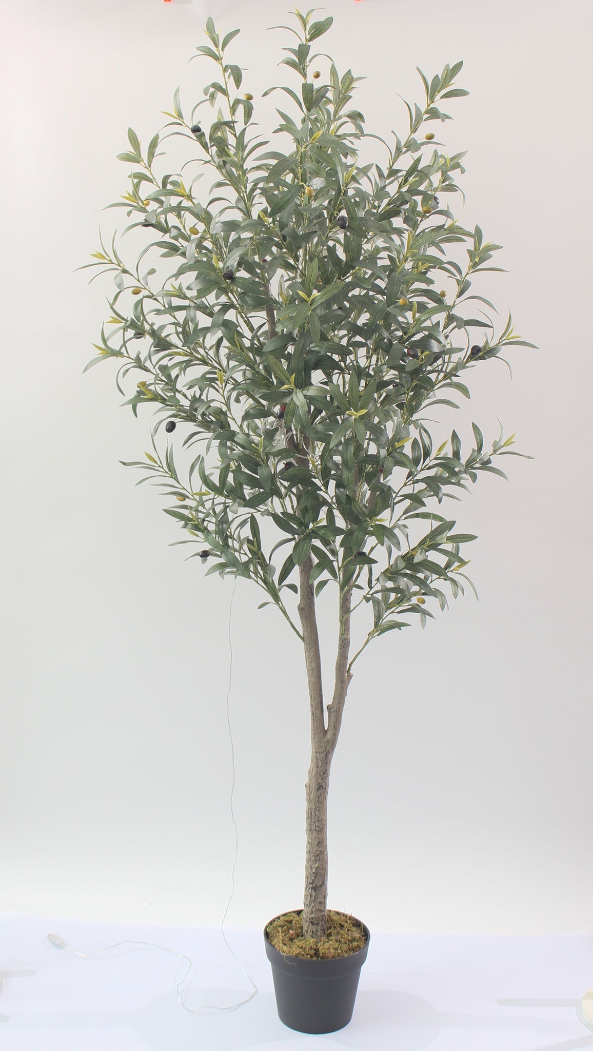 Marcolo artificial olive tree with pot, 180 cm, full view