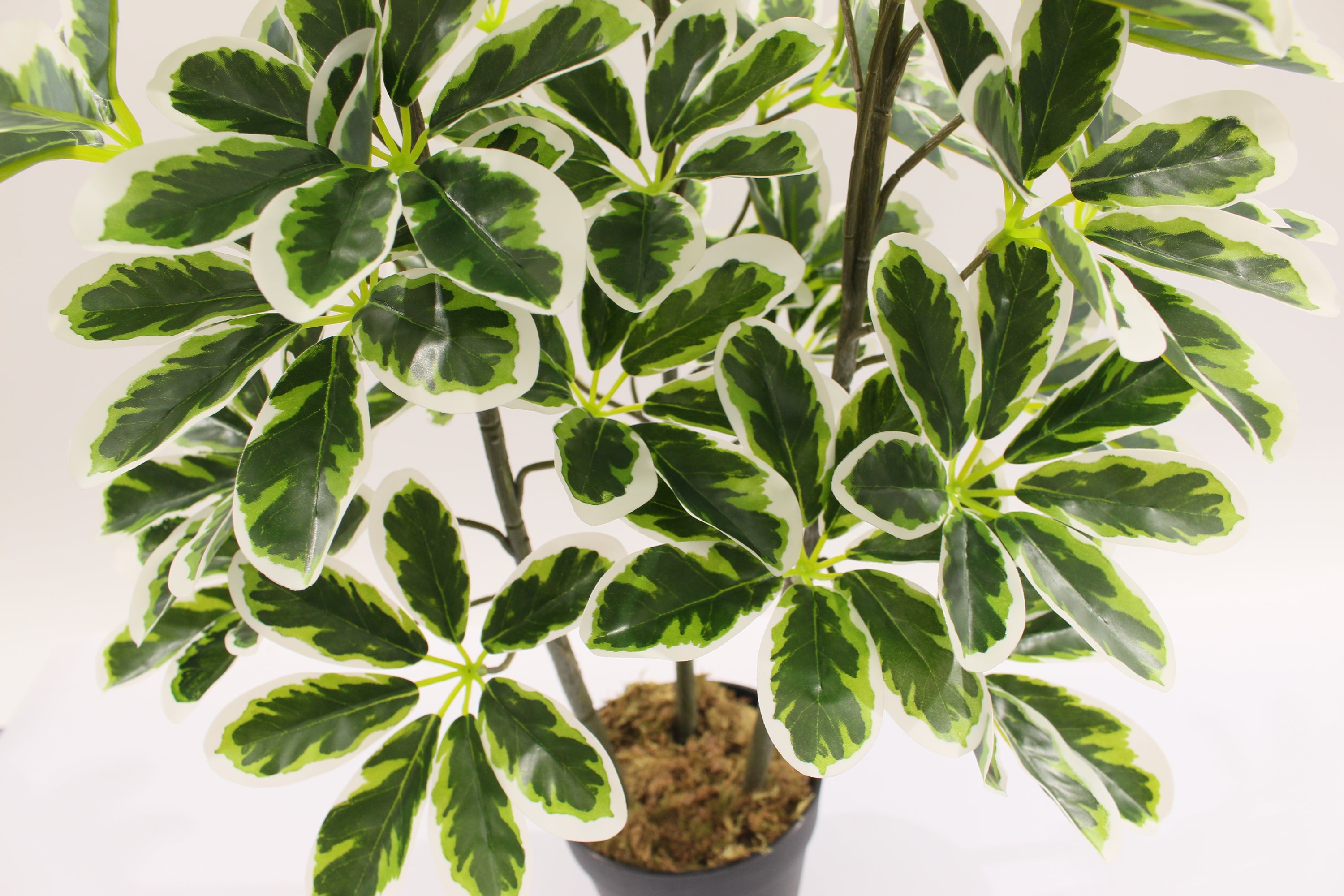 Artificial Schefflera Arboricola Tree 75cm 36l Indoor Décor