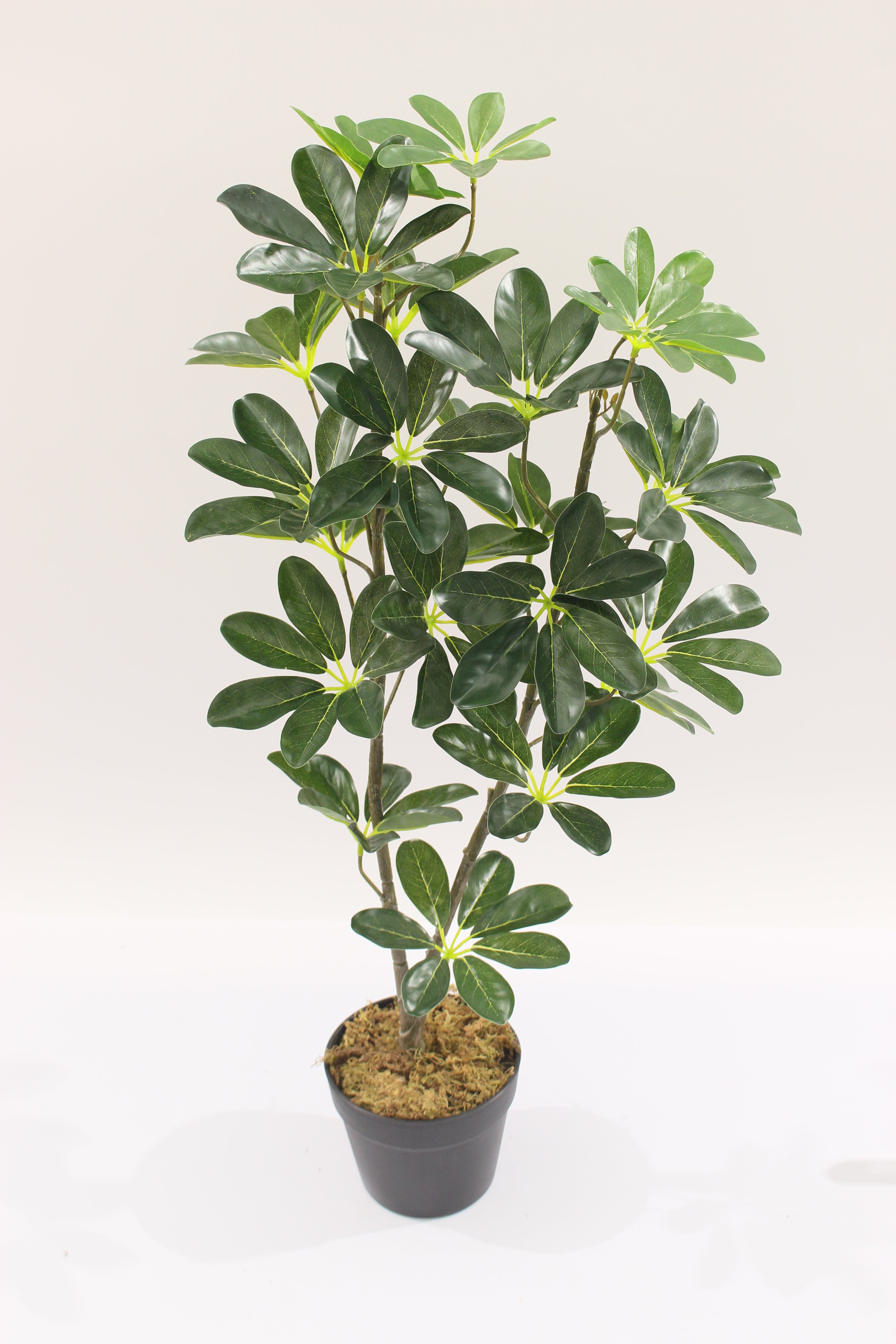 Artificial Schefflera Arboricola Tree 85cm 24l Indoor Décor