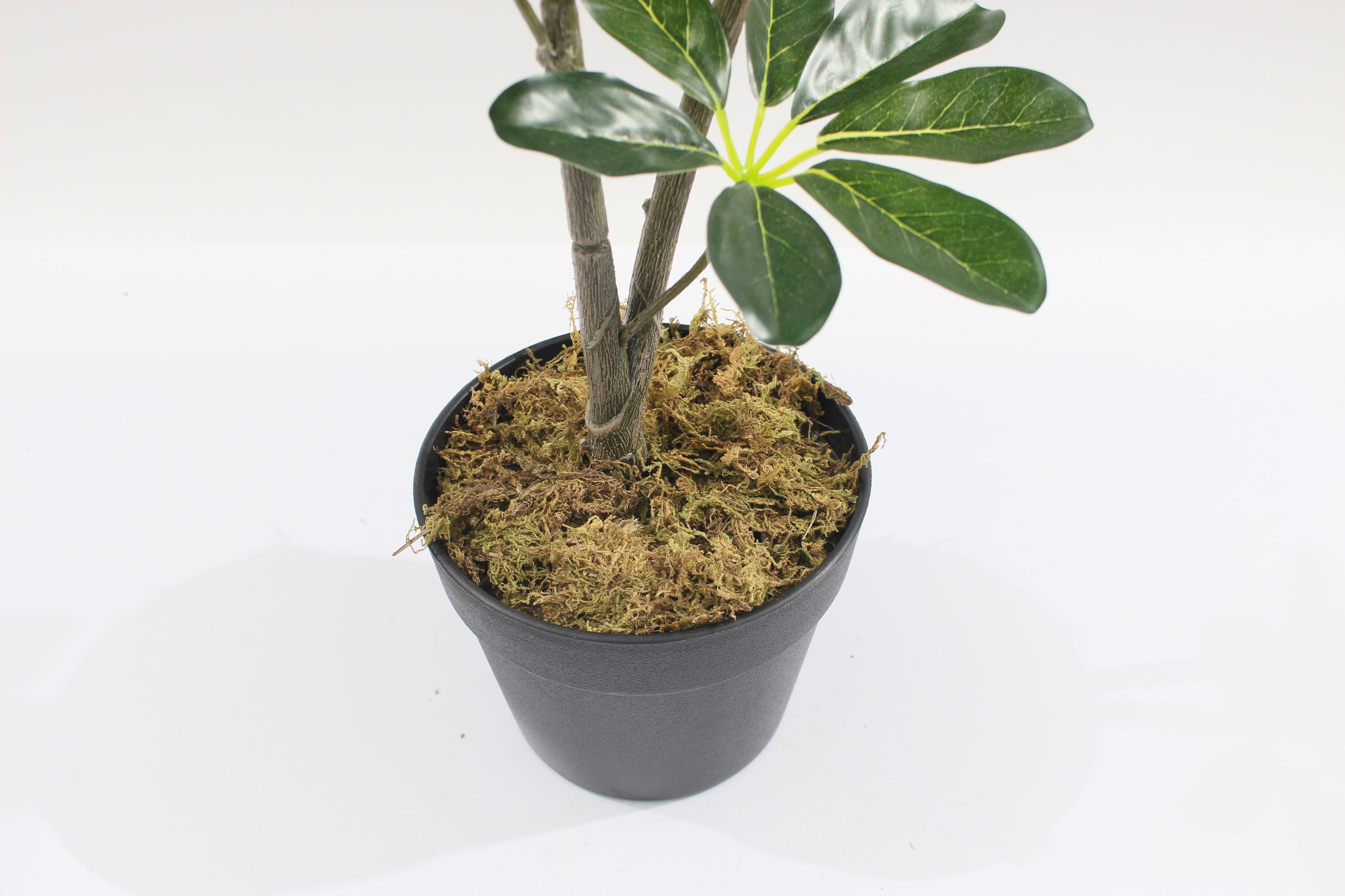 Artificial Schefflera Arboricola Tree 85cm 24l Indoor Décor