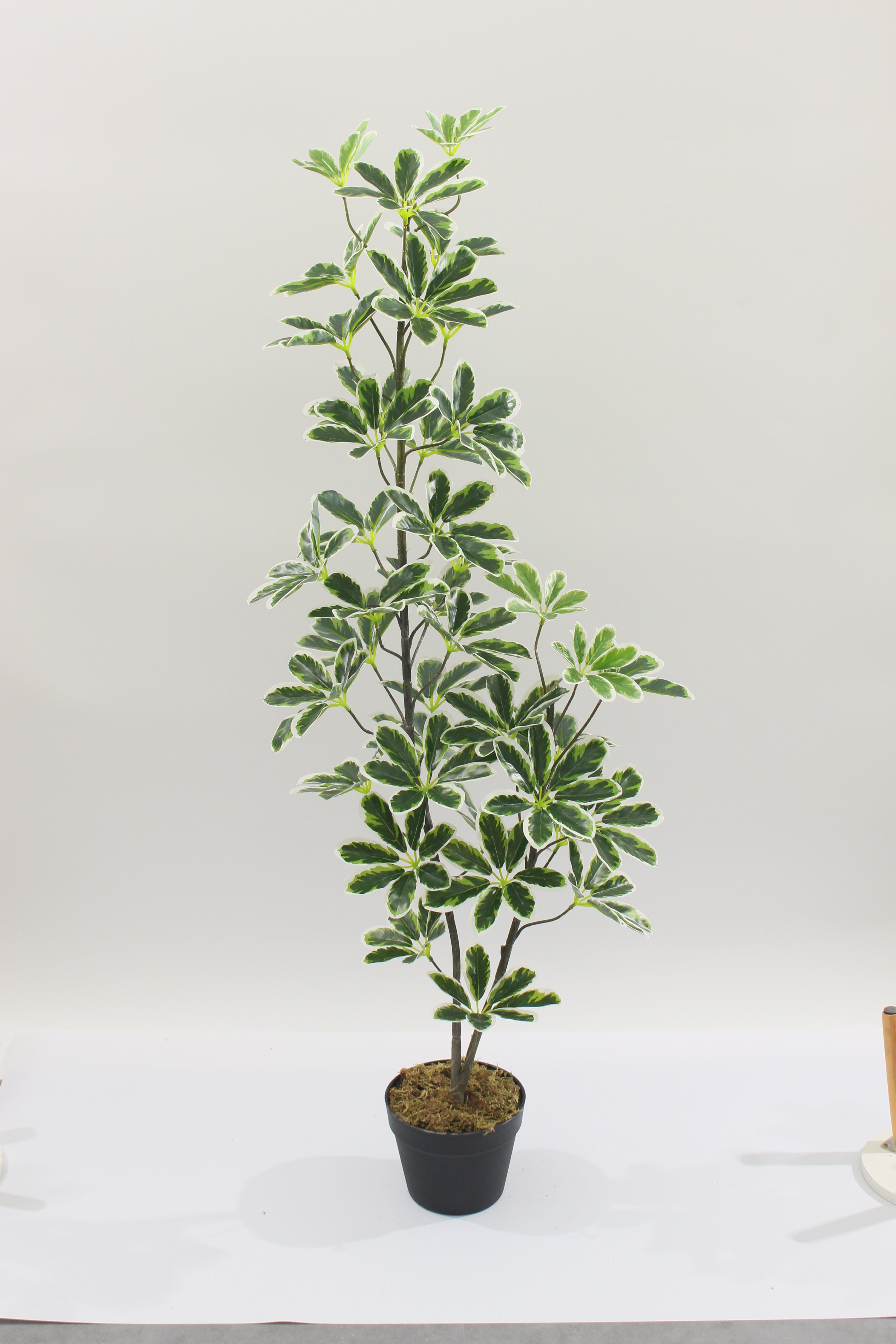 Artificial Schefflera Arboricola Tree 130cm 40l Indoor Décor