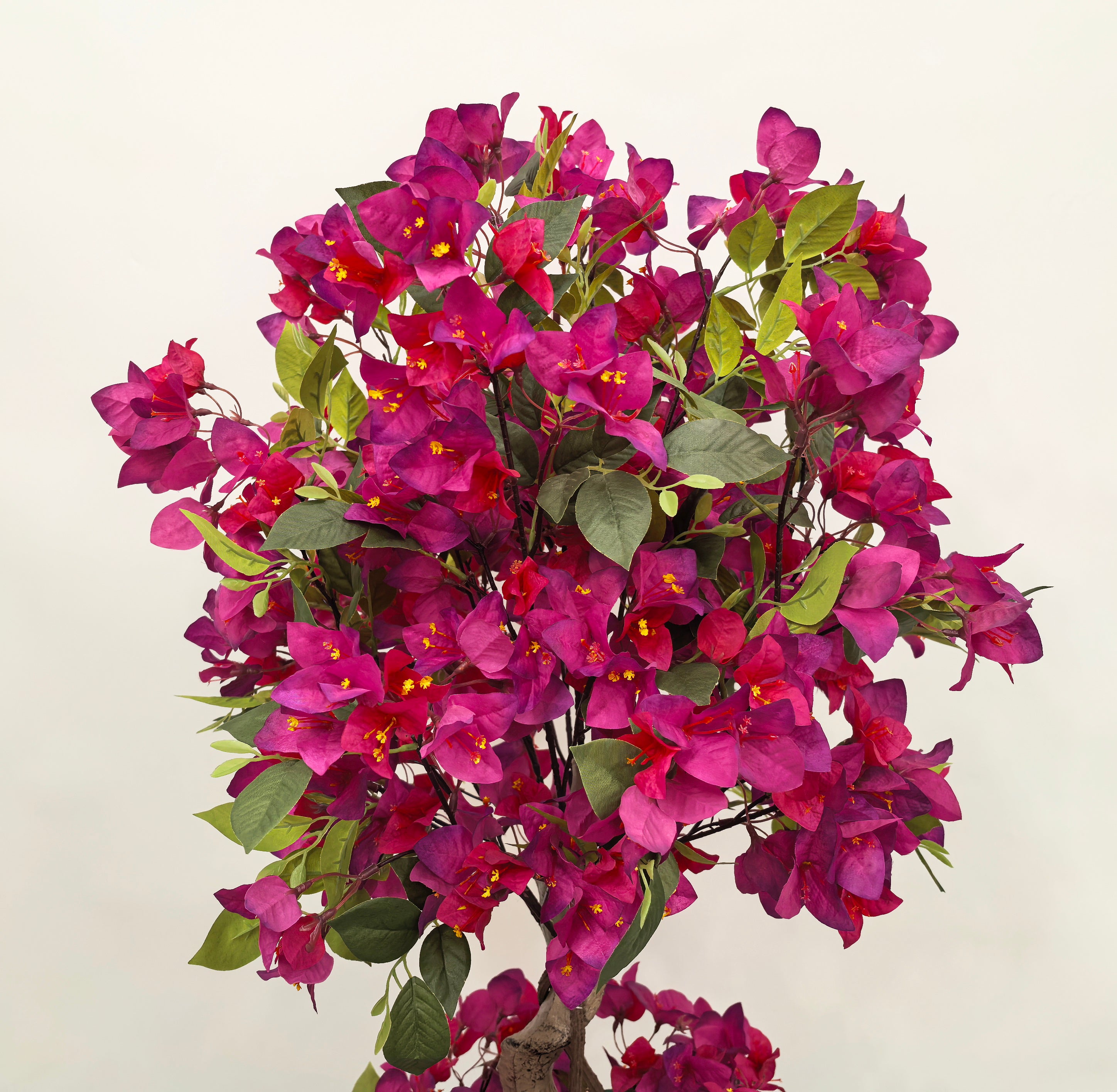 Marcolo artificial bougainvillea tree, 150cm, featuring lifelike, vibrant magenta flowers and green leaves.