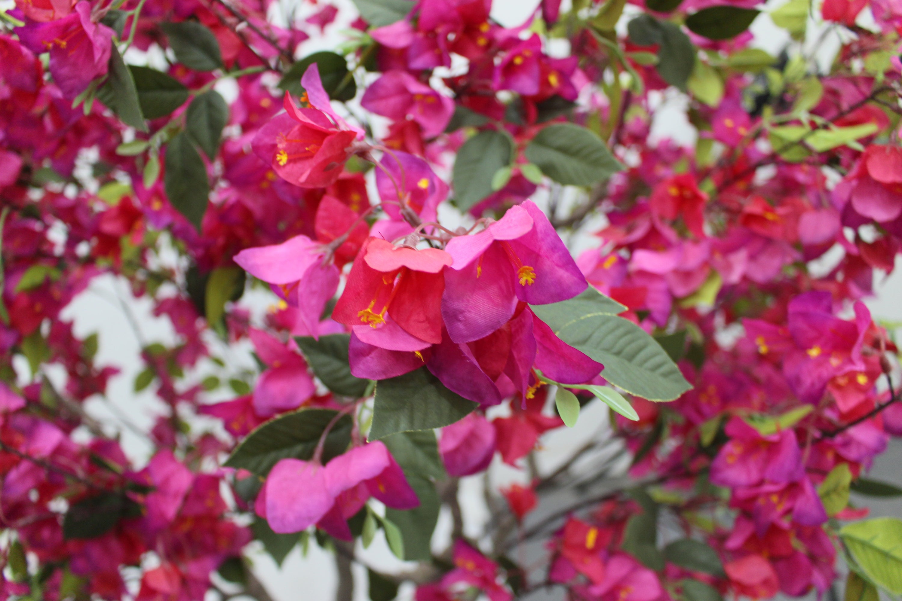 Marcolo 150cm artificial bougainvillea tree detail with delicate, lifelike pink silk flowers.