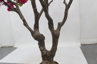 Marcolo 150cm artificial bougainvillea tree detail showing a realistic, thick textured trunk.