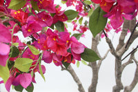 Marcolo 150cm artificial bougainvillea tree detail with vibrant magenta petals and green leaves.