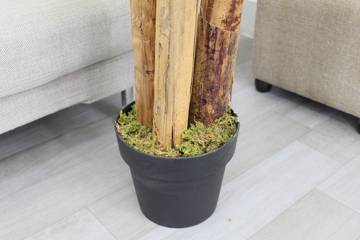 Marcolo artificial banana tree base with realistic thick trunks and moss in a black plastic pot.
