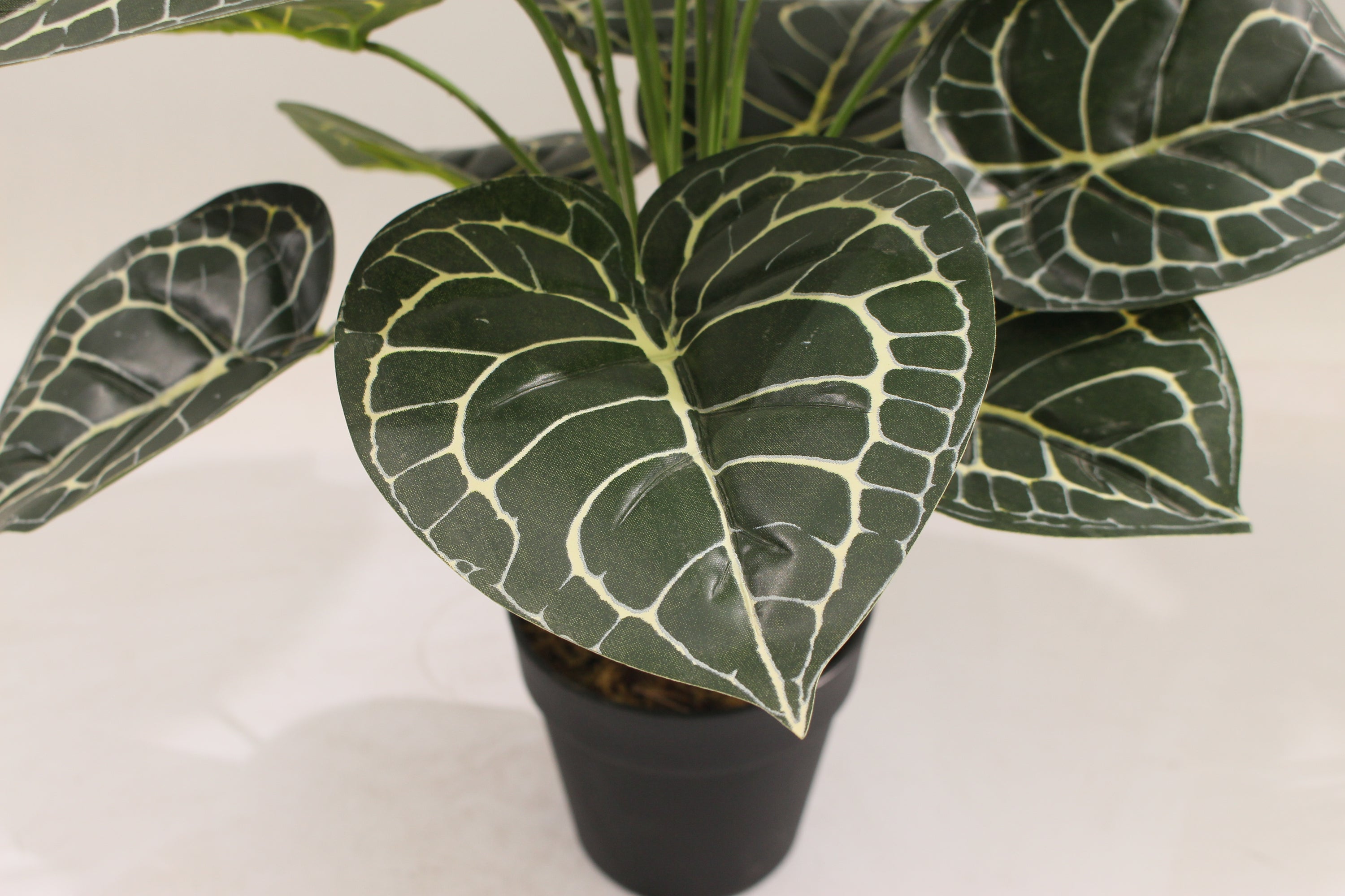 Artificial Taro Plant 60cm 18l Realistic Indoor Décor Plant