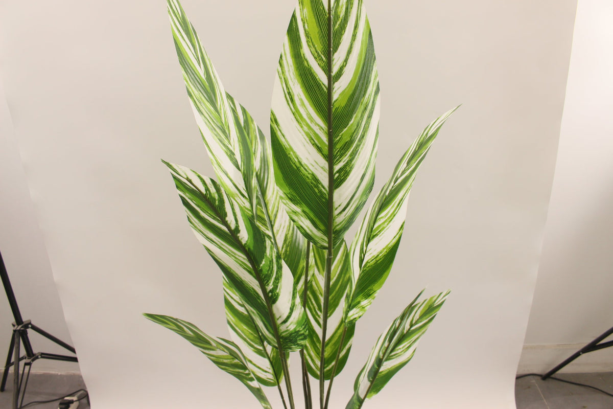 Close-up of the green and white striped leaves on the Marcolo 145 cm artificial white bird of paradise