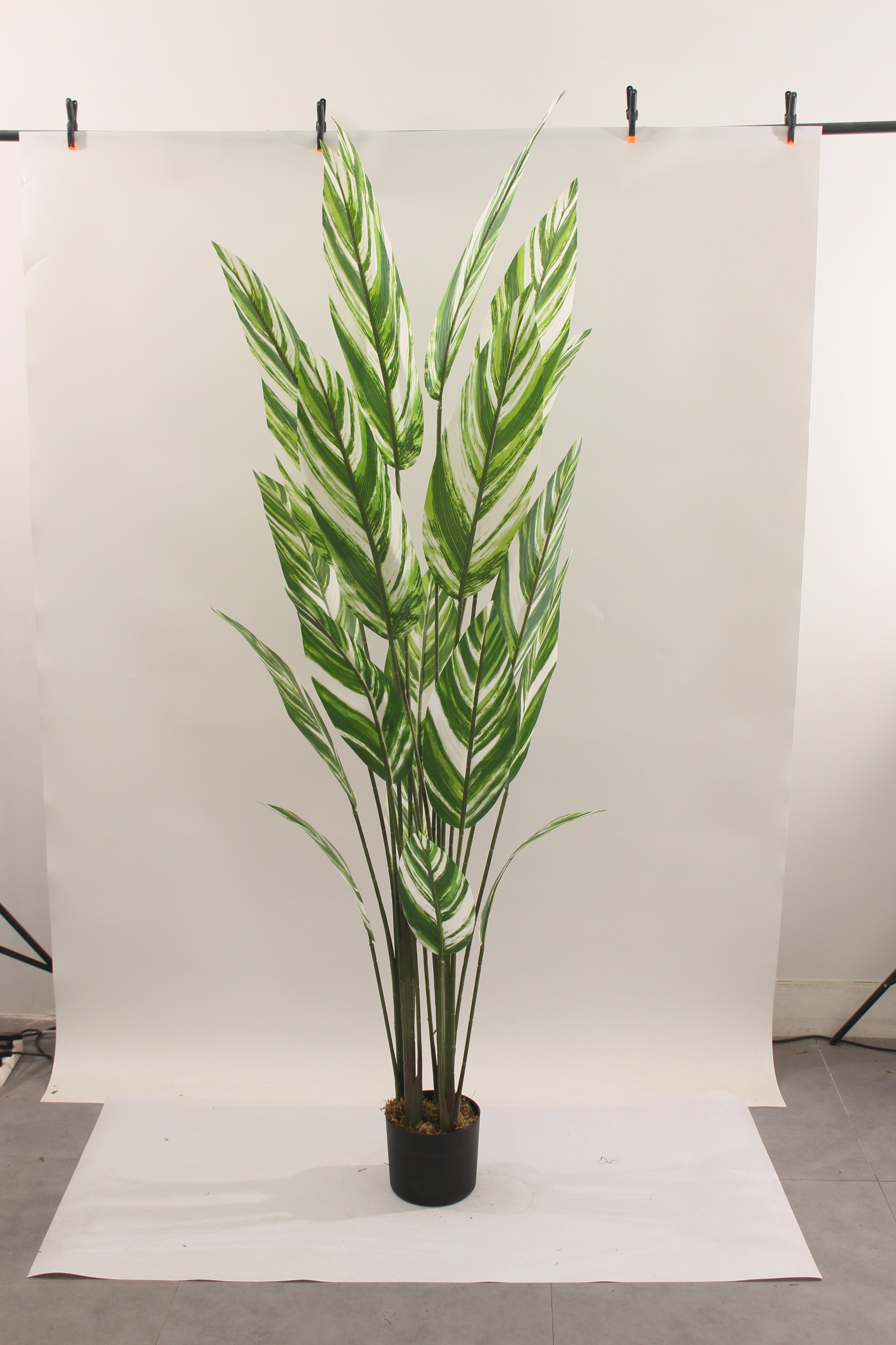 Artificial Bird Of Paradise White Tree 190cm Tall Indoor Décor