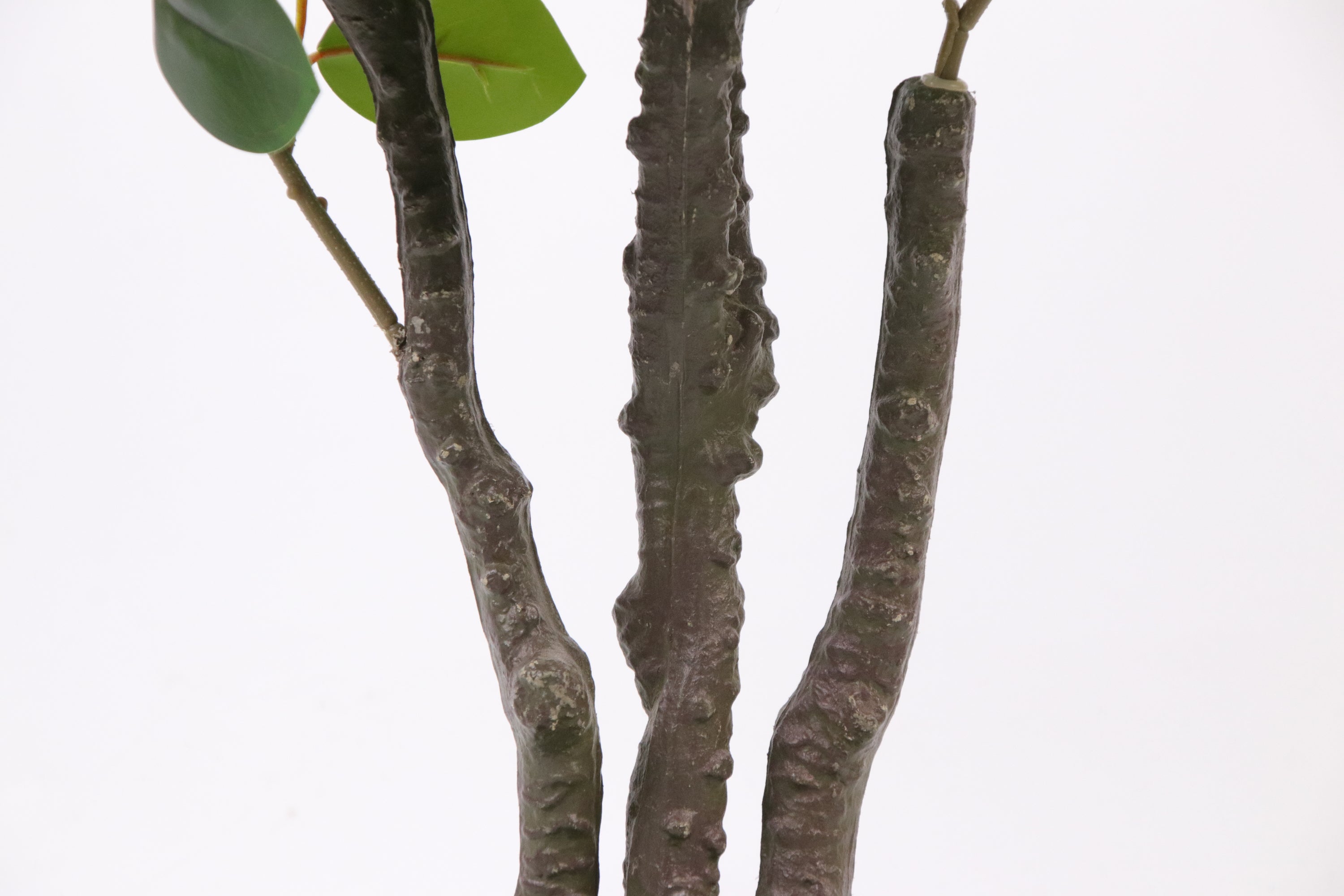 Marcolo 90cm Artificial Magnolia Tree Realistic Trunk Detail