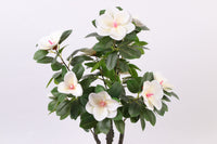 Marcolo 90cm Artificial Magnolia Tree Top Floral Detail