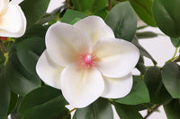 Marcolo 90cm Artificial Magnolia Tree Petal Close-up