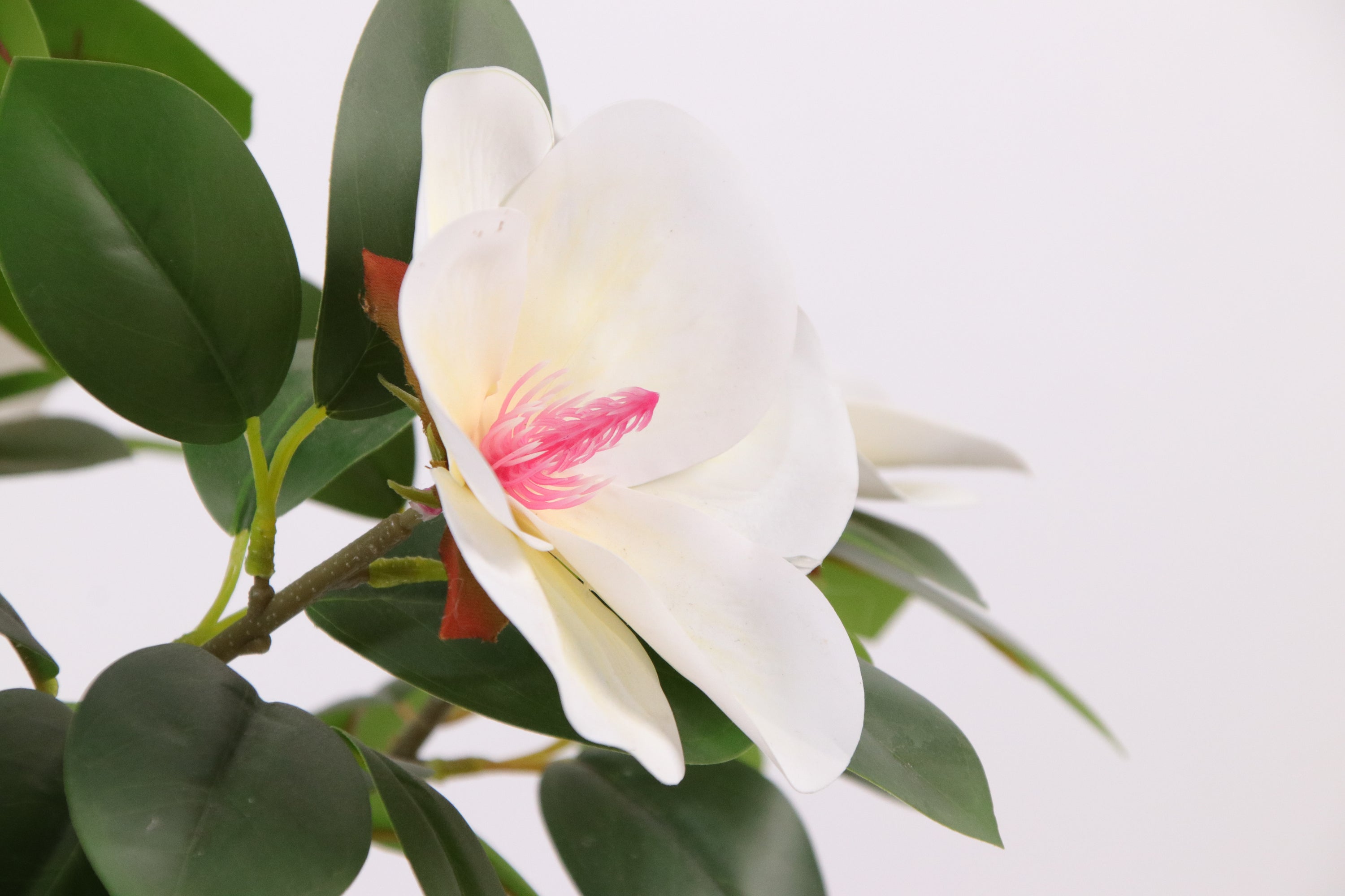 Marcolo 90cm Artificial Magnolia Tree Pink Bloom Detail