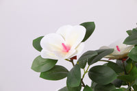 Marcolo 90cm Artificial Magnolia Tree Side Bloom View