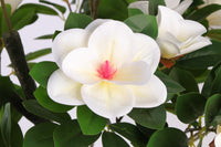 Marcolo 150cm Artificial Magnolia Tree Close-up Flower