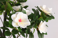 Marcolo 150cm Artificial Magnolia Tree Side Flower Cluster