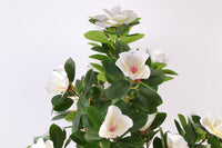 Marcolo 150cm Artificial Magnolia Tree White Floral Detail