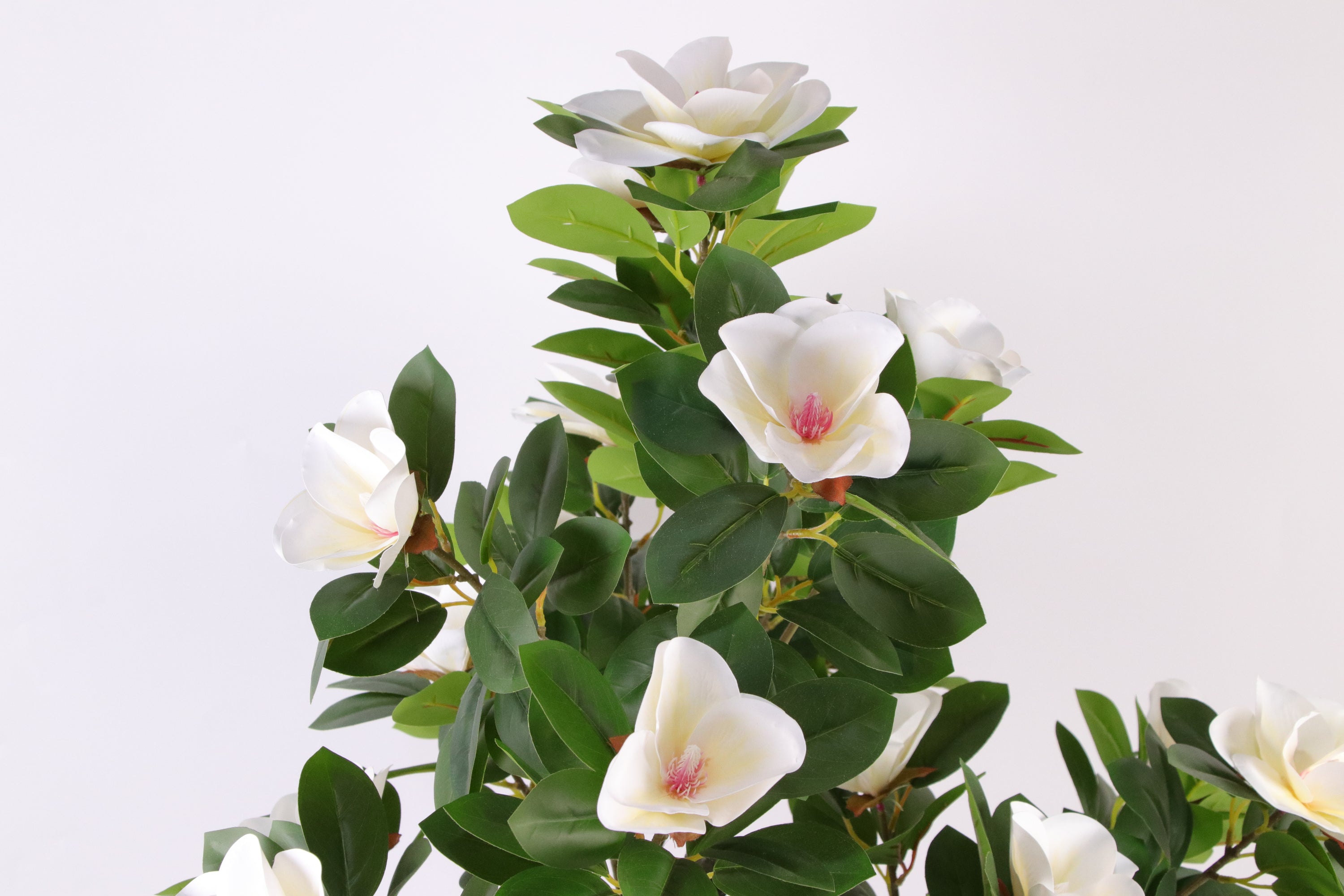 Marcolo 150cm Artificial Magnolia Tree White Floral Detail