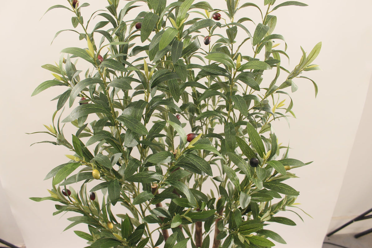 Close-up of the leaves and olives on the Marcolo 150 cm artificial olive tree