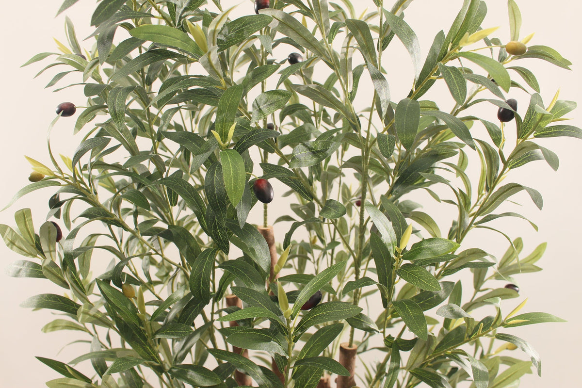 Close-up of the dense leaves and olives on the Marcolo 180 cm artificial olive tree